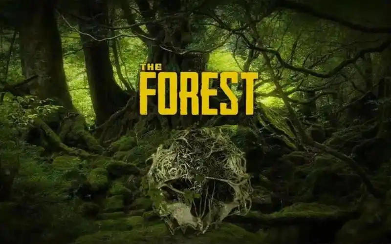 森林之子全道具物品合成制作配方大全