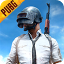 BetaPUBG体验服