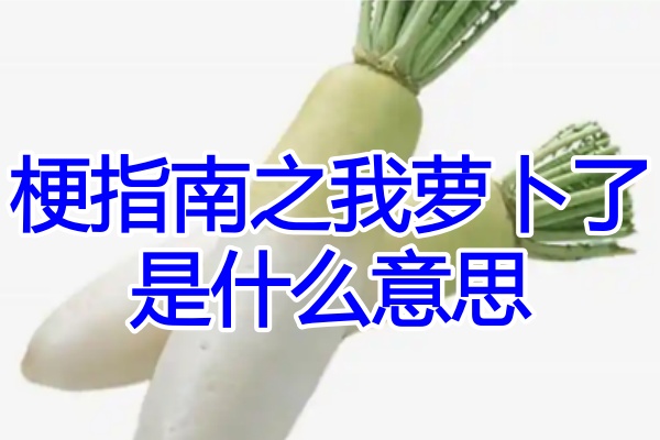 梗指南之我萝卜了是什么意思
