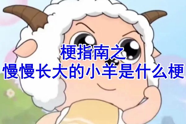 梗指南之慢慢长大的小羊是什么梗