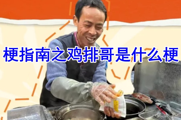 梗指南之鸡排哥是什么梗