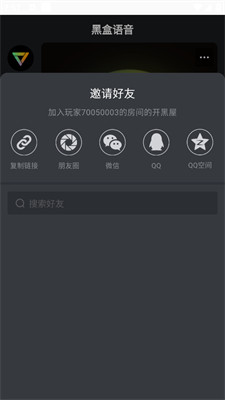 黑盒语音图片6