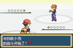 口袋妖怪叶绿