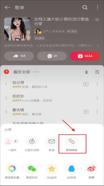 导入歌单方法配图2