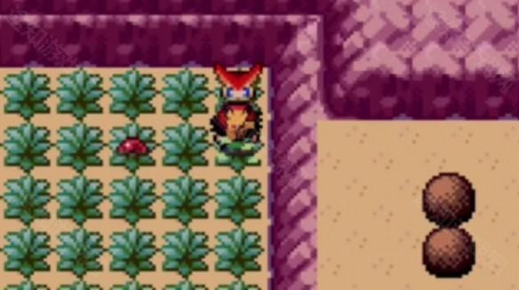 口袋妖怪燃之智