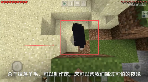 我的世界1.19