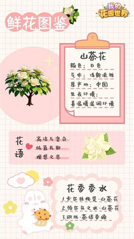 我的花园世界