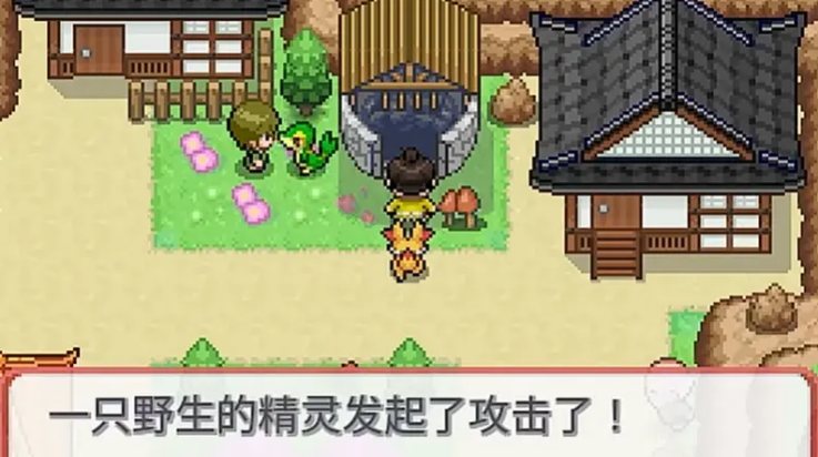 宝可梦武士道