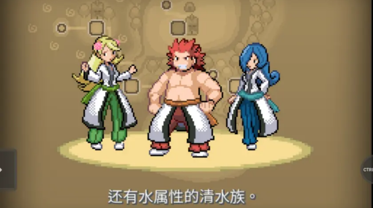 宝可梦武士道