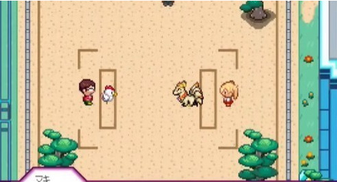 宝可梦迷之规则