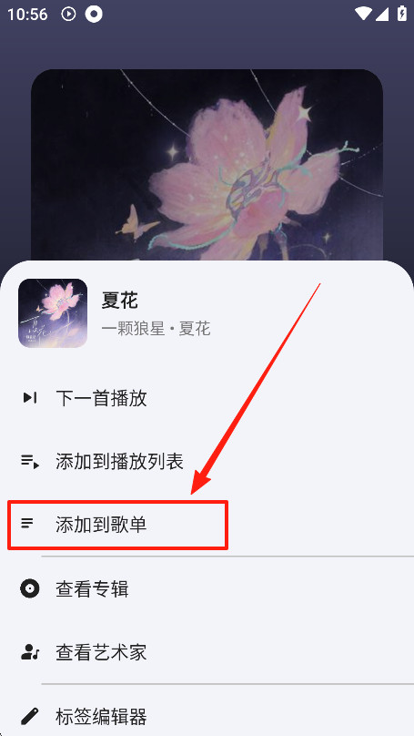 奇妙音乐安卓版下载