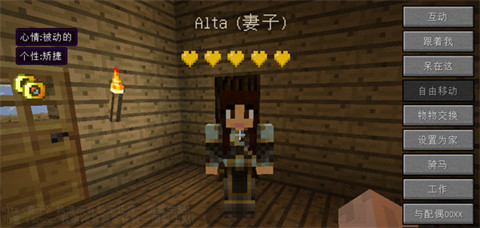 我的世界模拟人生