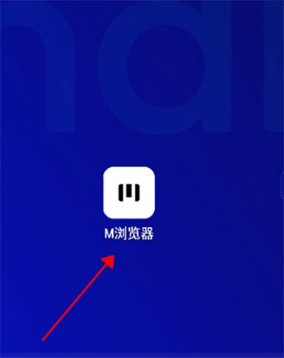 M浏览器2